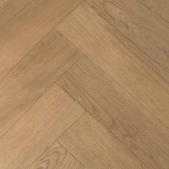 Дуб Агассис R2024