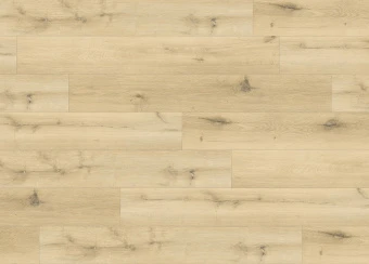 8310 Дуб Шампань