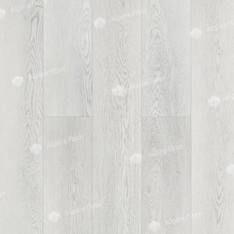 ECO 11-1202 Дейнтри
