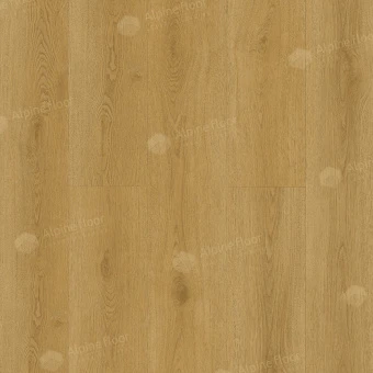 ЕСО 21-23 Элиас