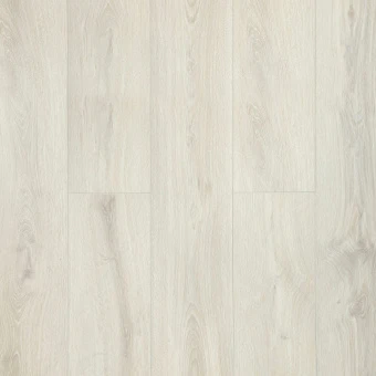 161116 Дуб Моне