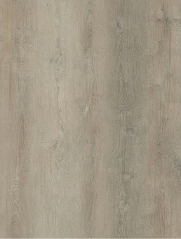 6606 Дуб кантри