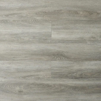 16182 Дуб Вильдхаус