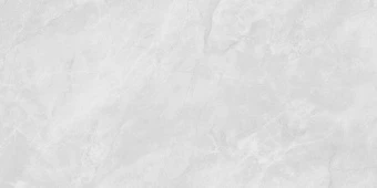 Berna Silver Керамогранит светло-серый LP6012G0231R 59,5х119,1 матовый