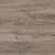 D51277  Дуб Ортон