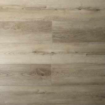 16165 Дуб Сомерсет