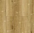 LF101-06 Дуб Ливорно