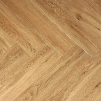 1616069 Дуб Растабан