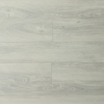 16181 Дуб Белвальд