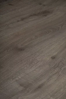 4211 Дуб Престиж