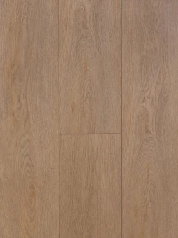 40-114 Дуб Ойстер