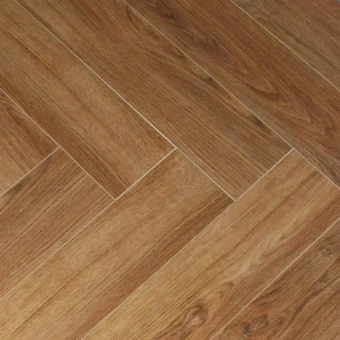 1616089 Дуб Эльнат