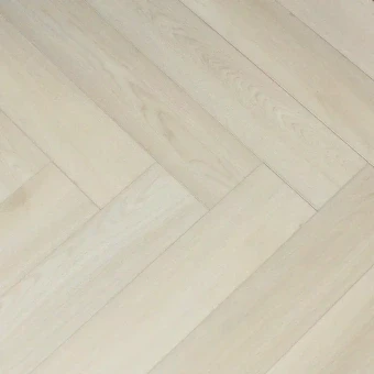 1616019 Дуб Сириус