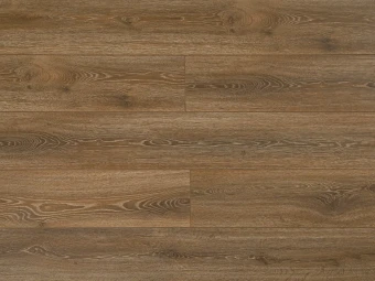 viv833 1843