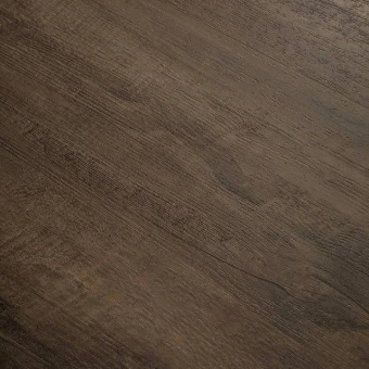 4208 Дуб Старинный