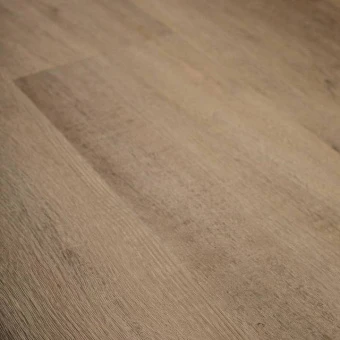 4206 Дуб Имперский