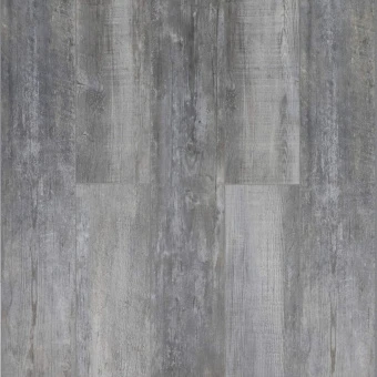 161112 Дуб Боттичелли