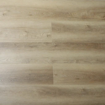 16166 Дуб Конви