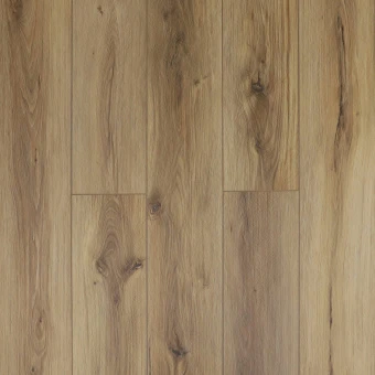 161118 Дуб Пикассо