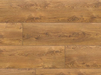 55064 Дуб Ланкастер