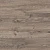 D51277  Дуб Ортон