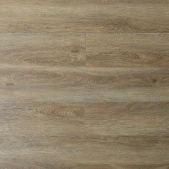 16184 Дуб Кьяссо