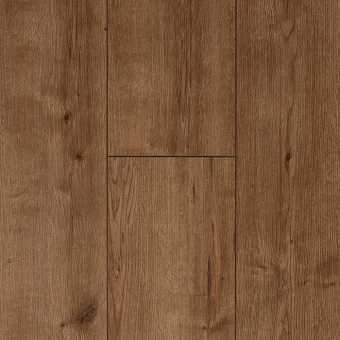  FP1104 Дуб Кенигсбер