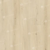 ECO 11-2602 Кипарисовая ель