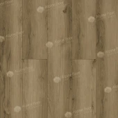 ECO 24-8 Дуб Эскейп