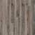 Дуб Тонгасс 2007
