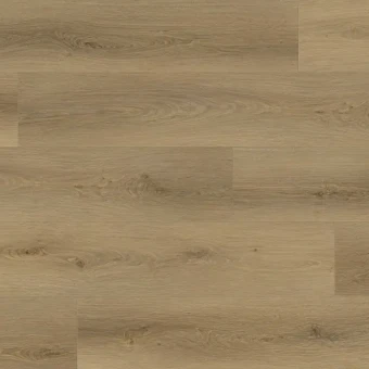 8312 Дуб Американский