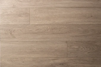 Дуб Гарднер