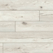 56879 Дуб белый / White oak