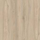 IMU 8467 Дуб Кедровый