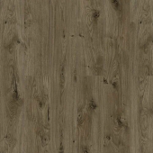 59807 Дуб Рапти