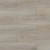 3306 Дуб чуррос