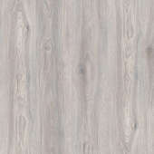 IMU 8471  Дуб Северное сияние