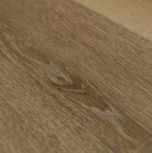 8805  Дуб рустикальный