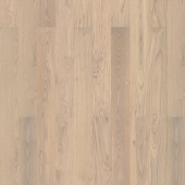 Oak Scandinavian (Дуб Скандинавский) 550048043