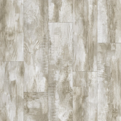 GLADIATOR -MIELE 2