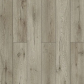 59787 Дуб Годавари