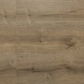 8803  Дуб классический