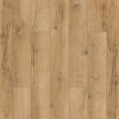 ID97 Дуб Абрис