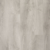 CXI150 Дуб Хоккайдо