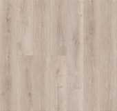  Е310 Дуб Эшфорд 