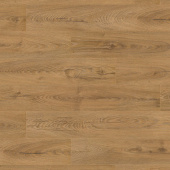 K476 Дуб Карпентер Инка