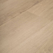 4205 Дуб Эльбрус