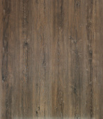 2079 Дуб Миллениум