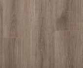 SF32 Дуб Джонсон