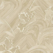 GLADIATOR - ADALIA 1